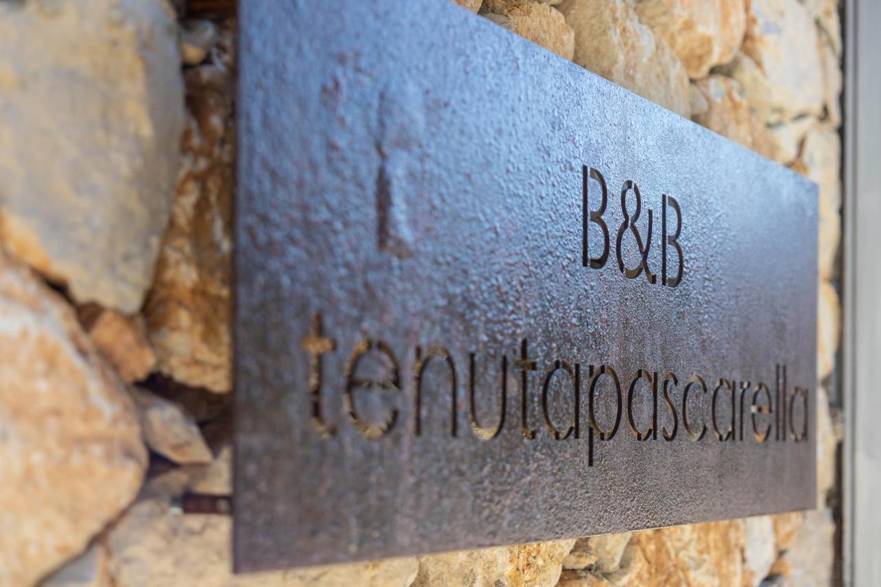 Frasso Telesino Tenuta Pascarella Bed & Breakfast מראה חיצוני תמונה