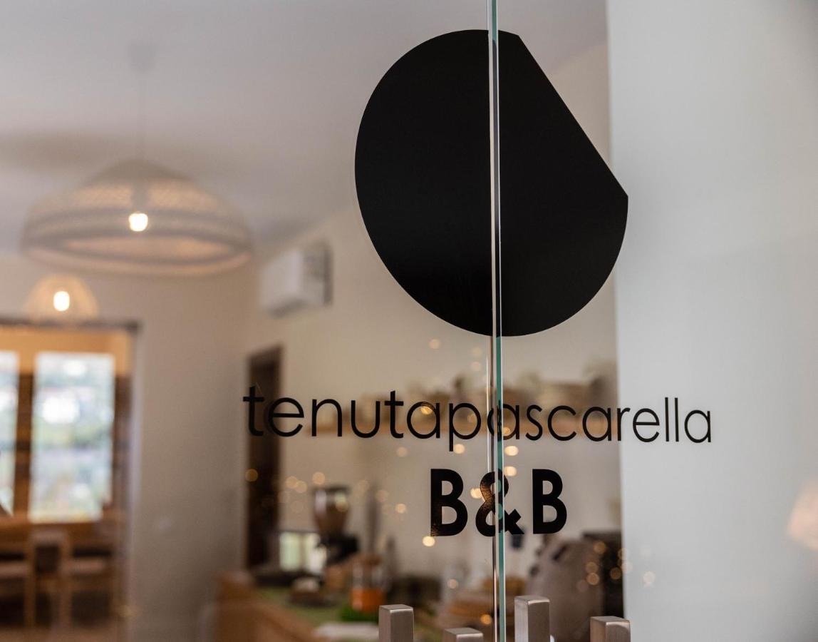 Frasso Telesino Tenuta Pascarella Bed & Breakfast מראה חיצוני תמונה