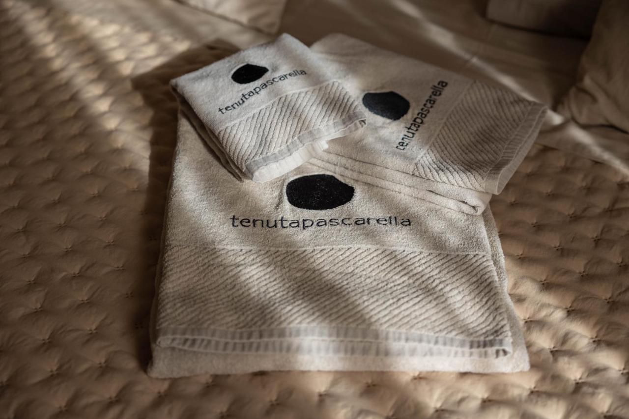 Frasso Telesino Tenuta Pascarella Bed & Breakfast מראה חיצוני תמונה
