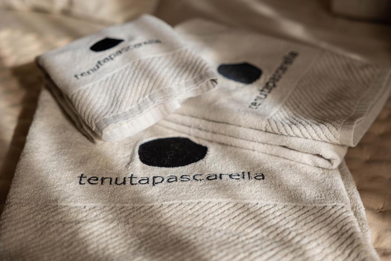 Frasso Telesino Tenuta Pascarella Bed & Breakfast מראה חיצוני תמונה